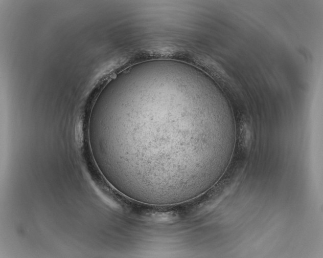 X0000112780638200908201530