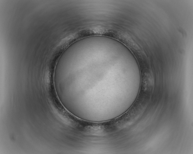 X0000112780639200908201530