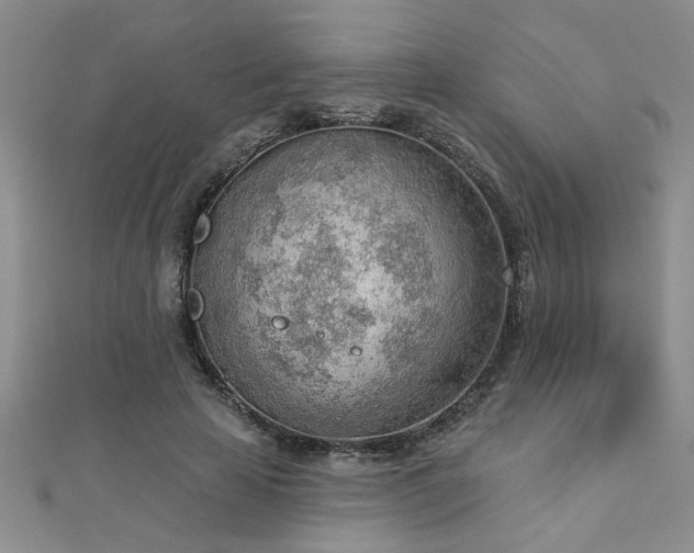 X0000112780641200908201530