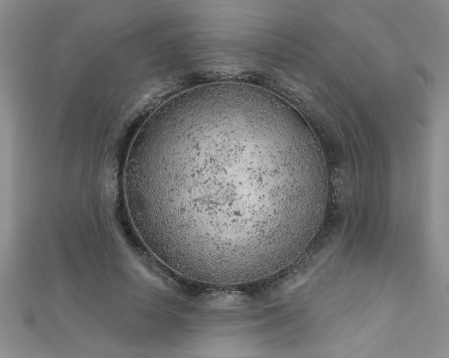 X0000112780642200908201530