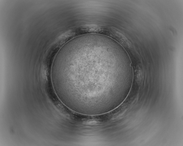 X0000112780643200908201530