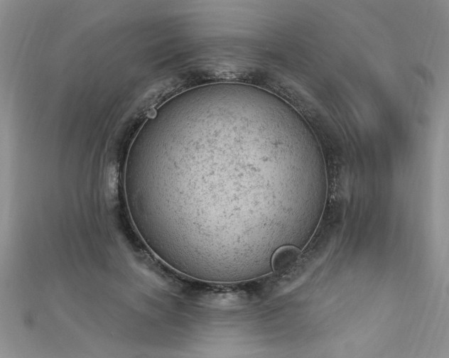 X0000112780646200908201530