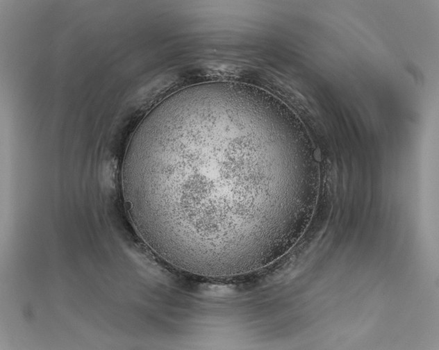 X0000112780649200908201530