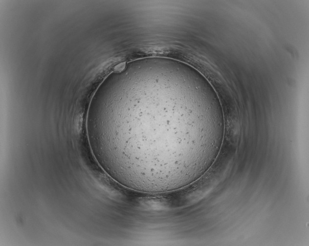 X0000112780652200908201530