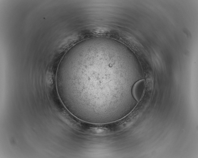 X0000112780654200908201530