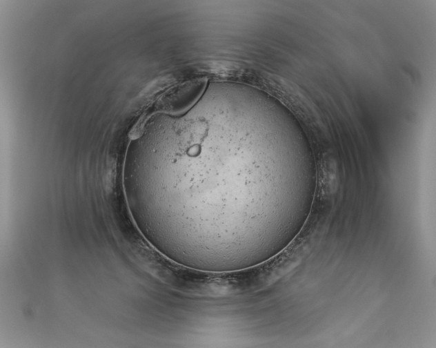 X0000112780656200908201530