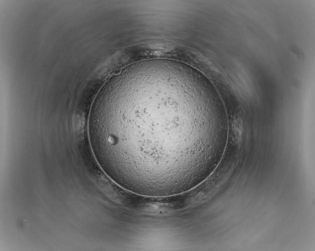 X0000112780657200908201530