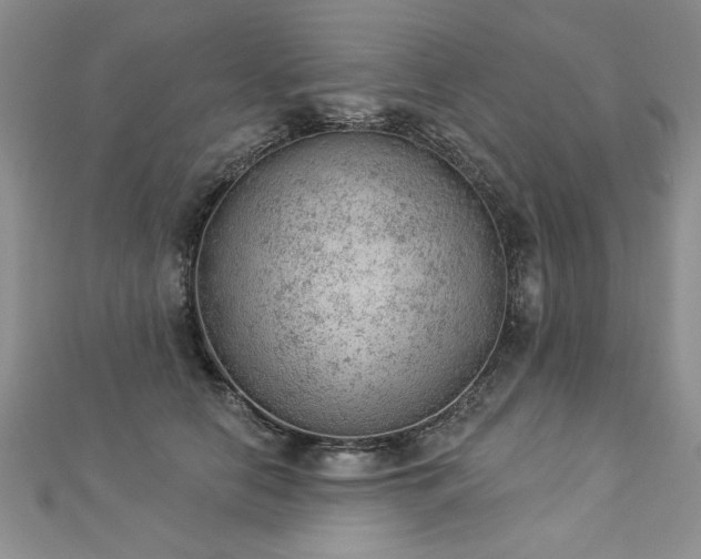 X0000112780658200908201530