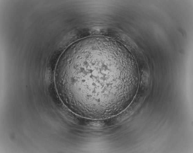 X0000112780659200908201530