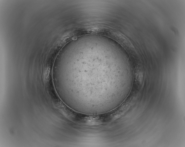 X0000112780660200908201530