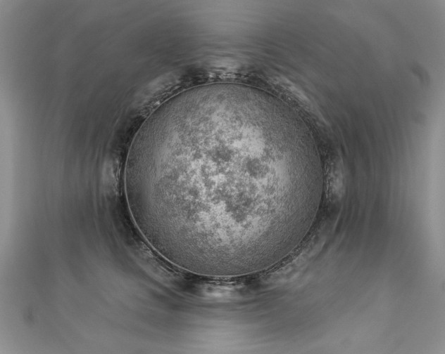 X0000112780661200908201530