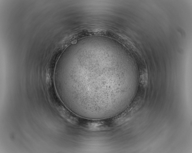 X0000112780662200908201530