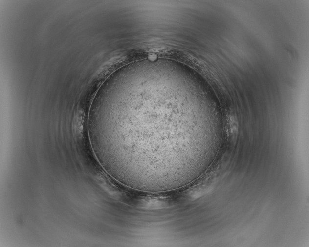 X0000112780664200908201530