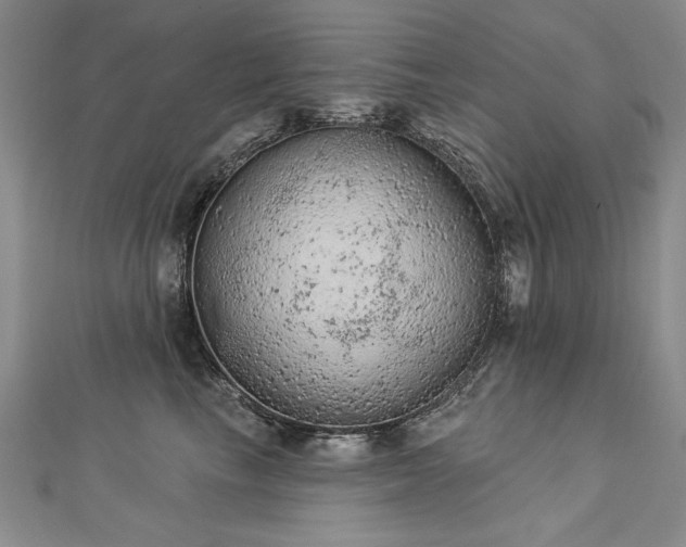 X0000112780665200908201530