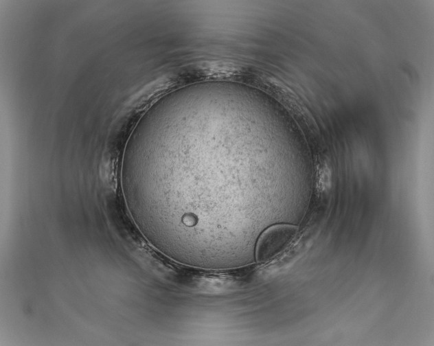 X0000112780666200908201530