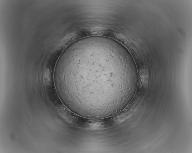 X0000112780667200908201530