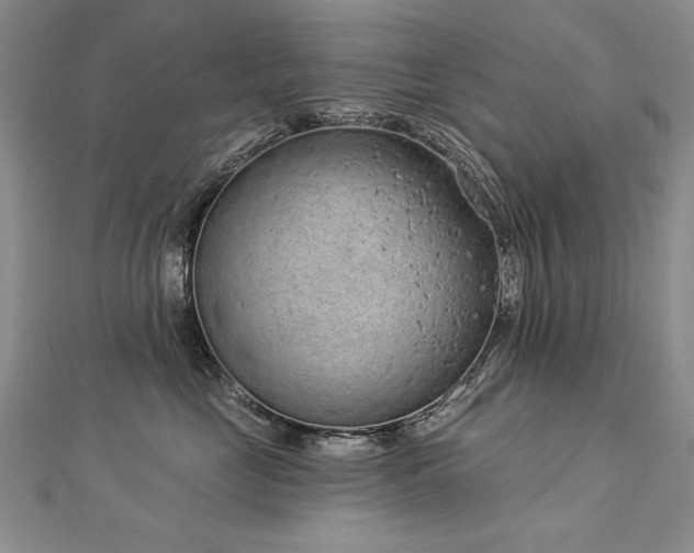 X0000112780669200908201530