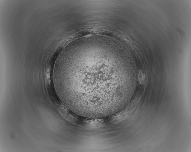 X0000112780670200908201530