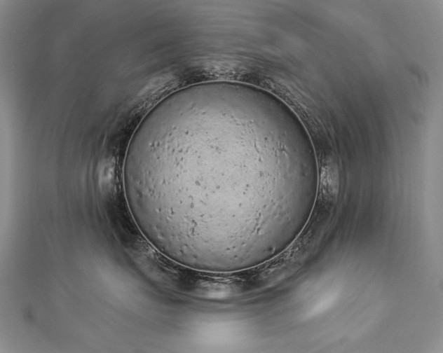 X0000112780671200908201530