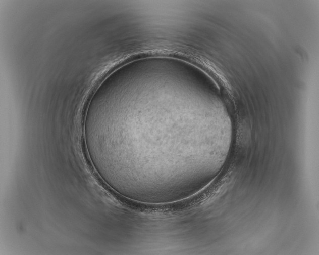 X0000112780673200908201529