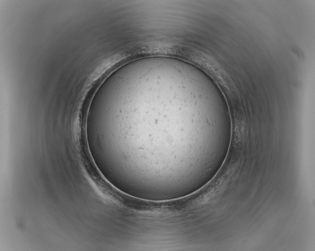 X0000112780674200908201529