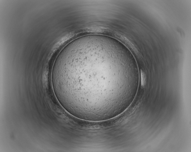 X0000112780675200908201529