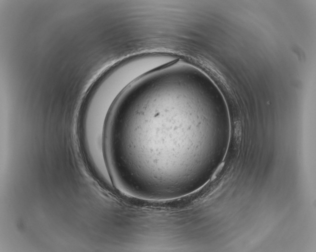 X0000112780676200908201529