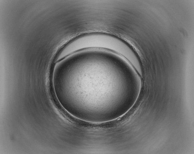 X0000112780677200908201529