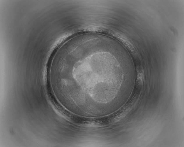 X0000112780678200908201529