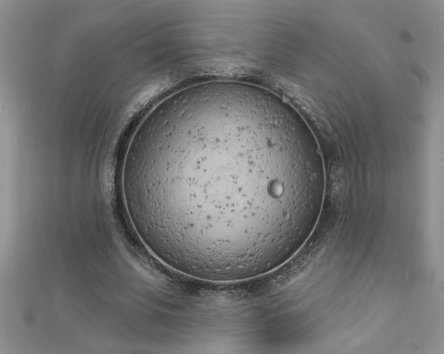 X0000112780679200908201529