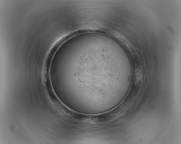 X0000112780680200908201529