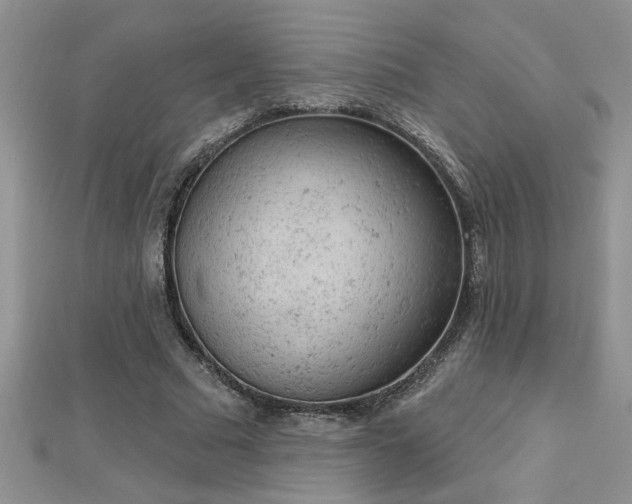 X0000112780681200908201529