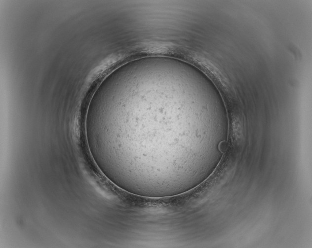 X0000112780682200908201529