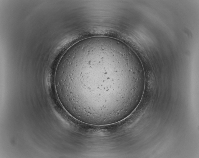 X0000112780683200908201529