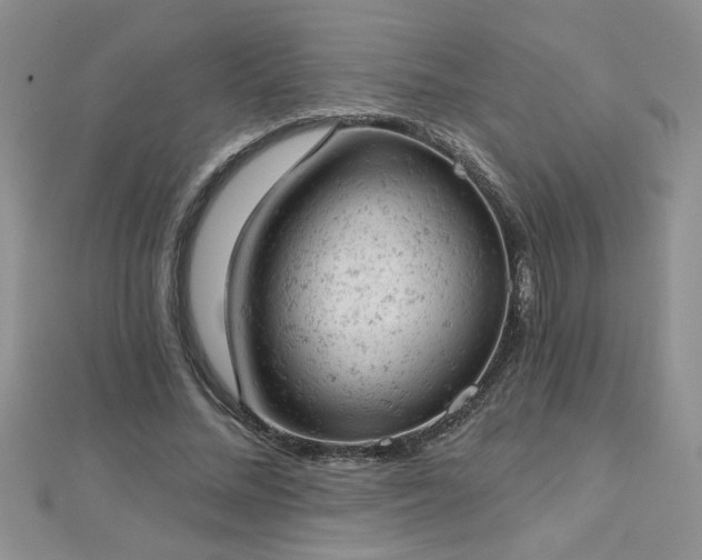 X0000112780684200908201529