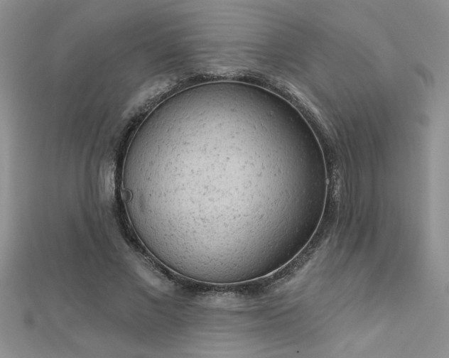 X0000112780685200908201529