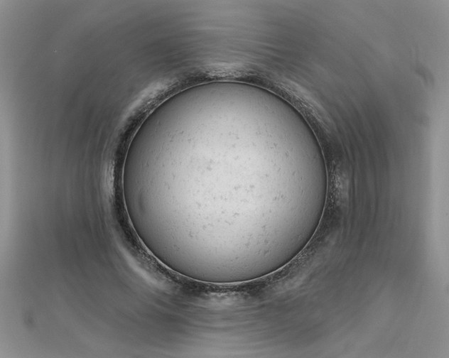 X0000112780686200908201529