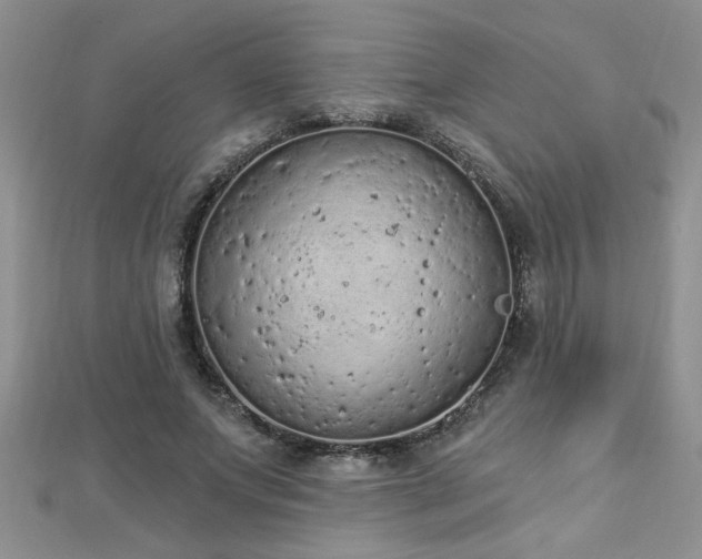 X0000112780687200908201529