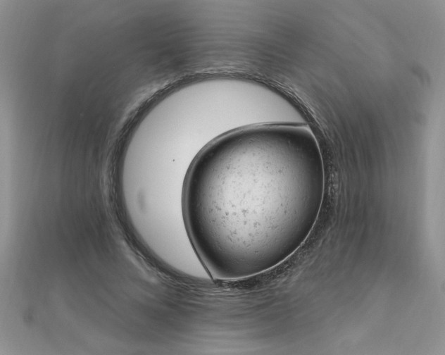 X0000112780688200908201529