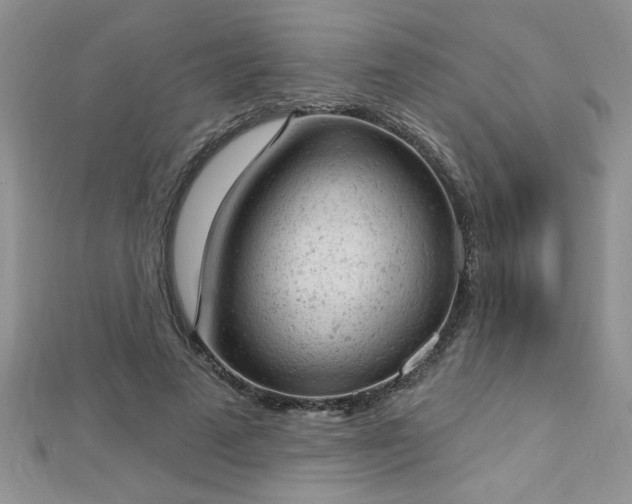 X0000112780689200908201529