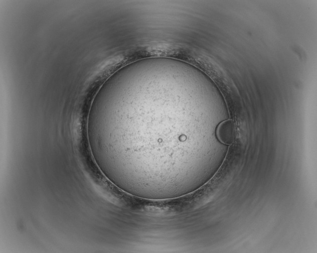 X0000112780690200908201529