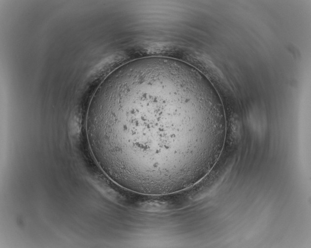 X0000112780691200908201529