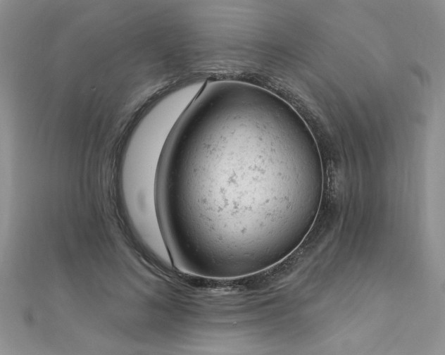 X0000112780692200908201529