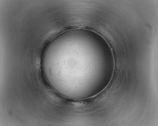 X0000112780693200908201529