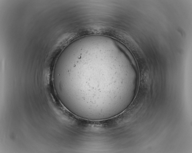 X0000112780694200908201529