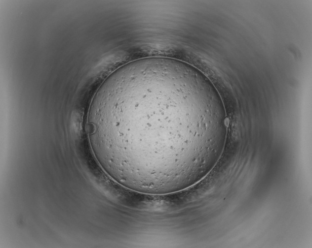 X0000112780695200908201529