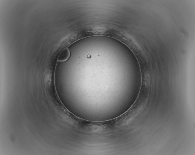 X0000112780697200908201529