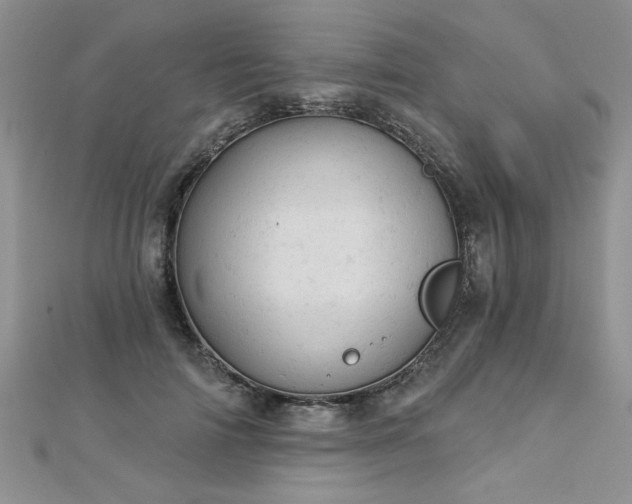 X0000112780698200908201529