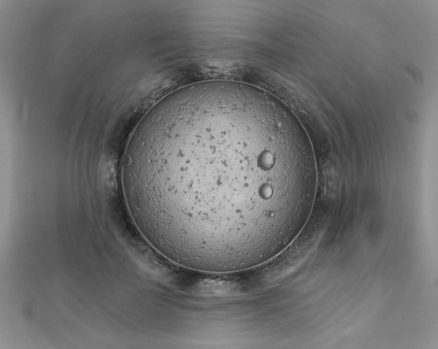 X0000112780699200908201529