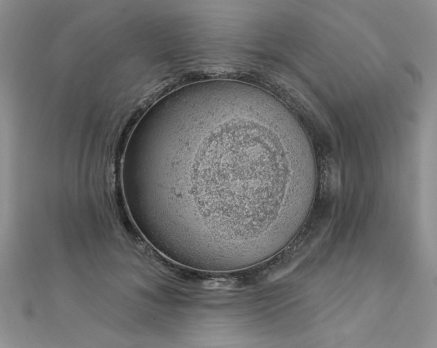 X0000112780700200908201529